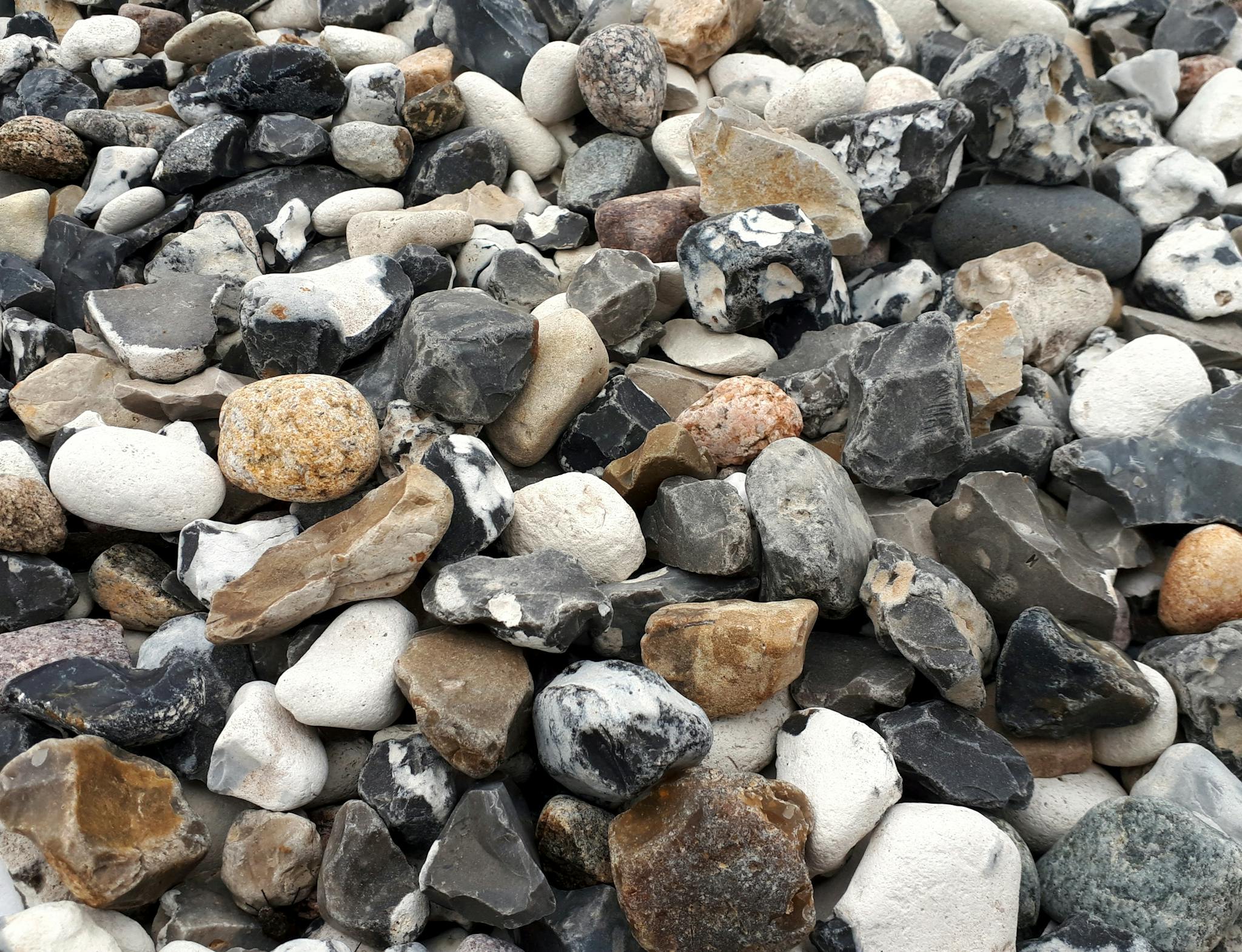 Close-up view of assorted pebbles in various colors and textures found on a beach.